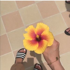 Meet your Posher, Sahar